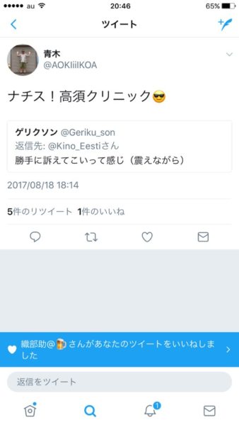 nazitakasu-2-338x600