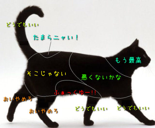 うちの猫は尻尾の付け根の方をトントンしてると興奮して暴れだす 2chコピペ保存道場