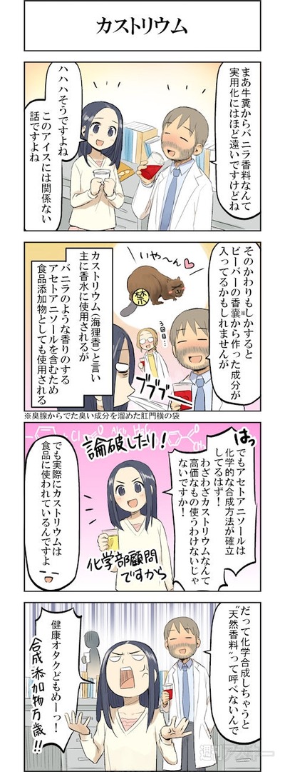 iki_103_04_cs1e1_480x1297