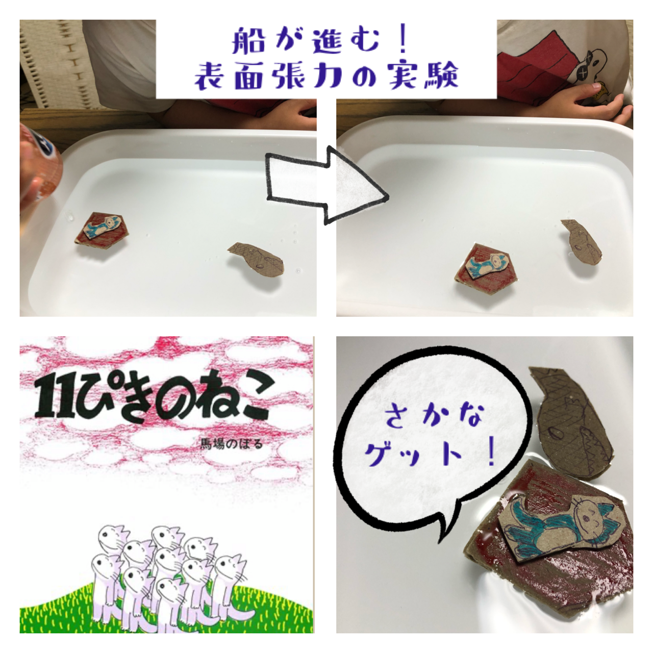 11ぴきのねこ と 表面張力の実験 小川晶子の日常と本の話 11ぴきのねこ と 表面張力の実験 小川晶子の日常と本の話