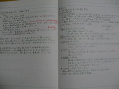 ����ʸ�Ρ���