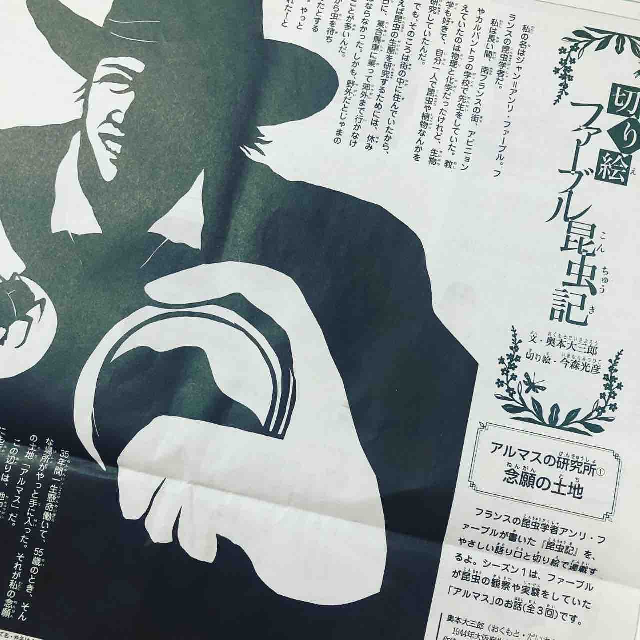 切り絵ファーブル昆虫記 にワクワク 小川晶子の日常と本の話