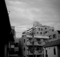 たてもの