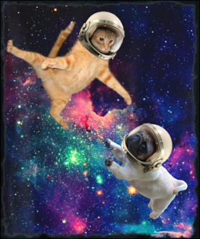 Cute Space Cat vs Space Dog Galaxy Epic Fight In Outer Space Tシャツ