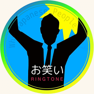 「無駄無駄!!!」DIO風 ボイス