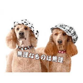 メッセージ入りポストカード「無理なものは無理」ハガキpostcard-photo by 楢崎 葉子
