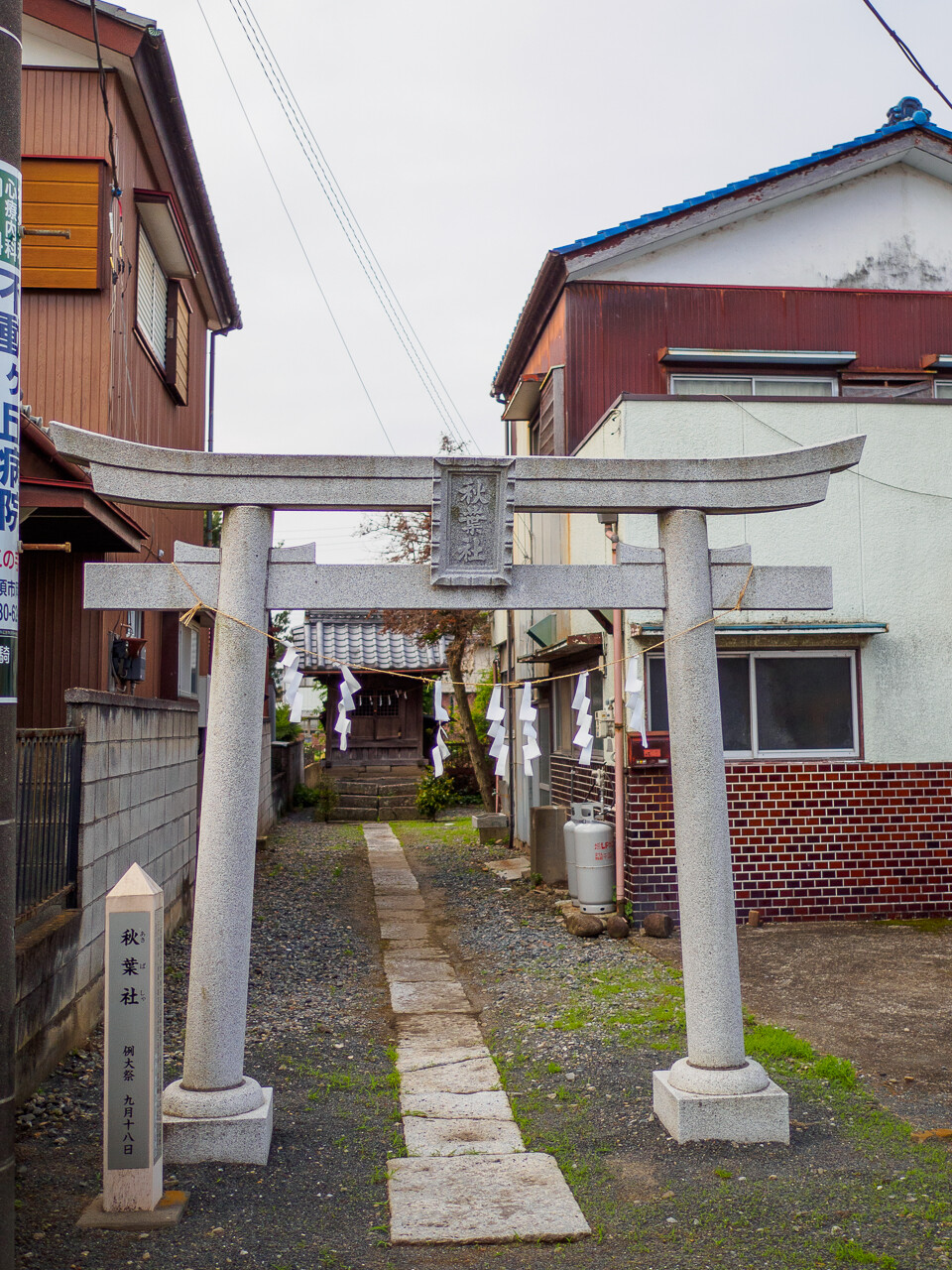 玉敷神社と玉敷公園の大藤 encore