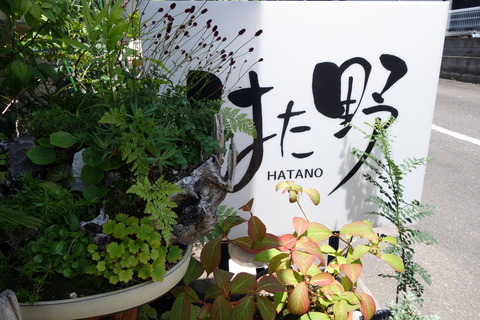 DSC00181