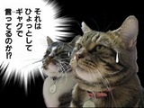 201201246_4