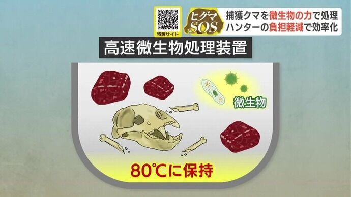 クマの死骸を微生物の力で跡形もなく分解出来る画期的な新処理システム！