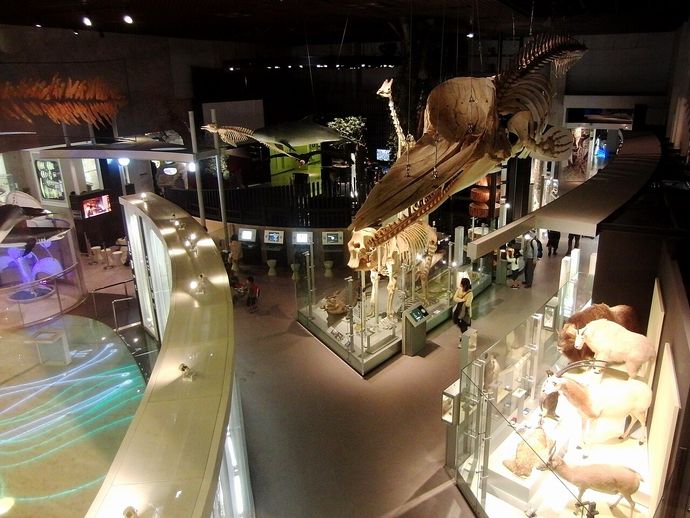 行ってよかったと思う博物館ランキング「鉄道博物館」「東京国立博物館」を抑えた堂々の1位は？！