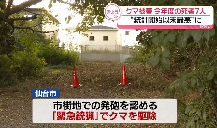 仙台市の住宅街にクマが出没、全国初の「緊急銃猟」で駆除！