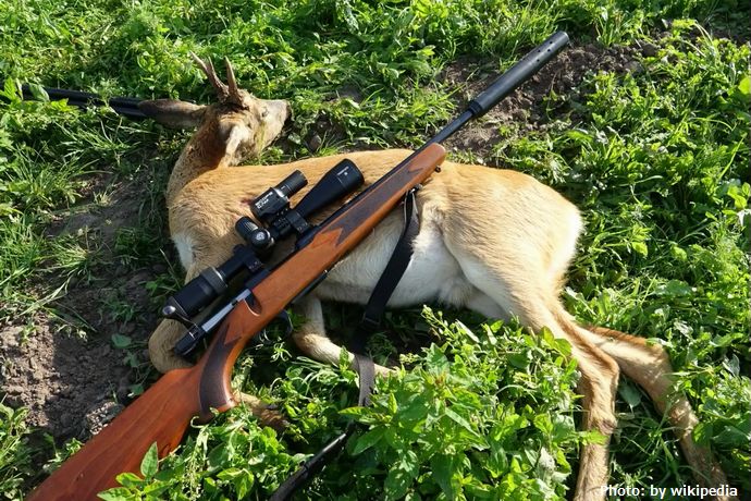「指先が引き金に引っかかった」エゾシカ猟中にライフル銃が暴発…銃口下げた際に自らの足撃つ！