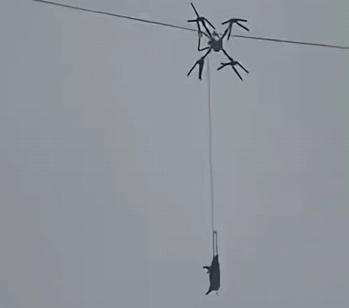 生きたブタをつるして運搬していたドローンが電線に引っかかる…中国四川省の山村で停電！