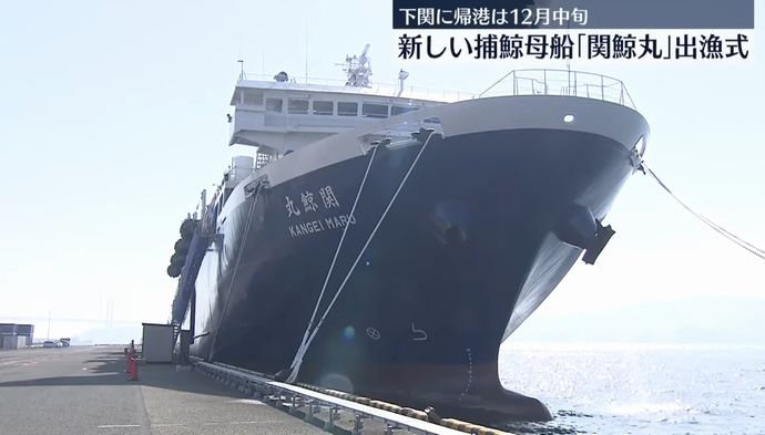 73年ぶり新造の国産捕鯨母船「関鯨丸」が東京港に初入港！