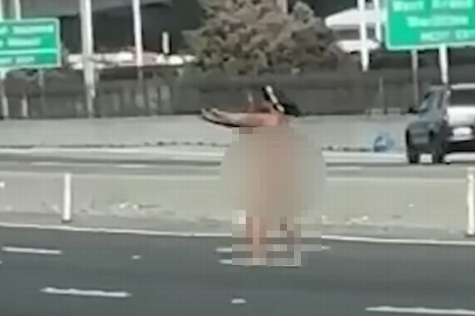 高速道路上に全裸の女、通行車両に次々と見境なく発砲…米サンフランシスコ！