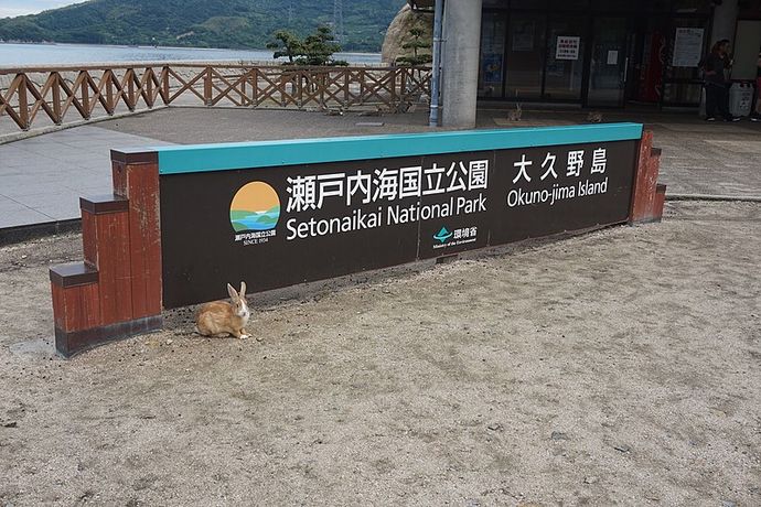 800px-Okunojima_DSC01314