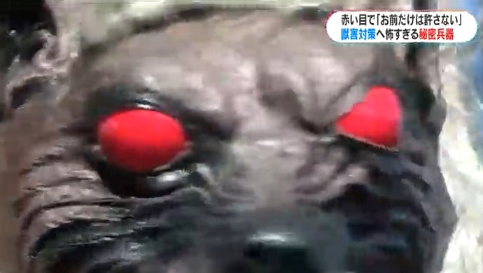 恐怖！オオカミ型ロボット「モンスターウルフ」で有害鳥獣から国有林を守れ