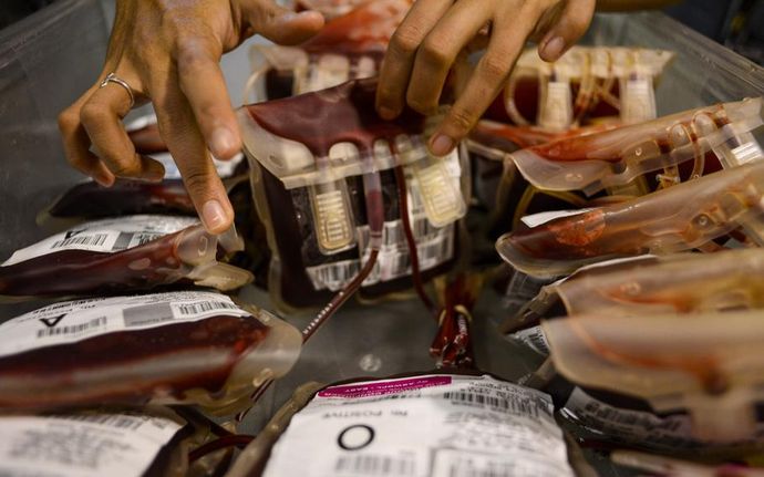 日本「万能人工血液」を開発、血液型不問で2年間保存可能…2030年の実用化を目指す！