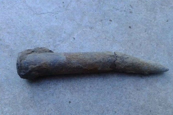 20代男性の直腸から第一次世界大戦の砲弾を発見、爆発物処理班が出動…フランス！