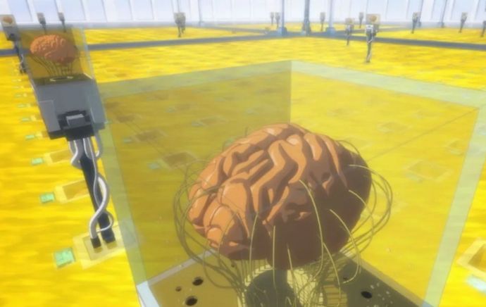 冷凍した脳を「傷つけずに解凍」できる化学薬品の開発に初成功…中国の復旦大学！