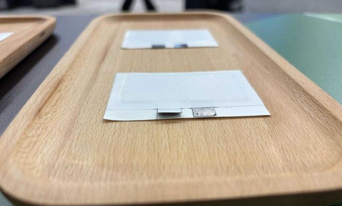 植物由来の「紙の電池」ついに実用化へ…外来種駆除の一石二鳥も視野に！