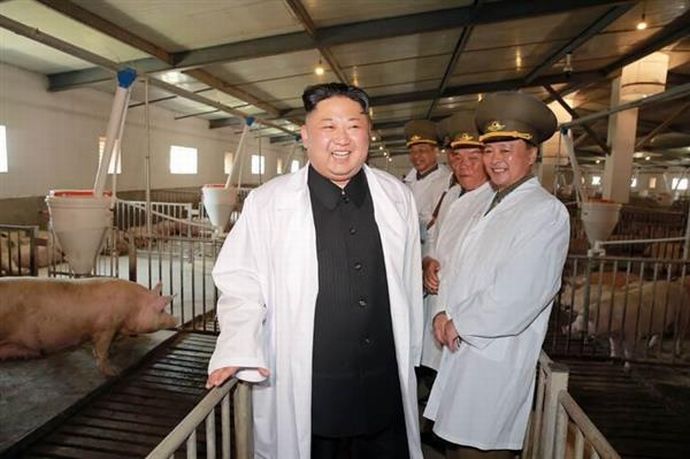 「米でも豚でも差し出せ」…北朝鮮、軍用物資強要に住民も反発！