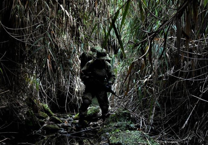 陸上自衛隊がクマ対策派遣準備、輸送など後方支援方針…銃使用などの直接駆除「ノウハウなく困難」！