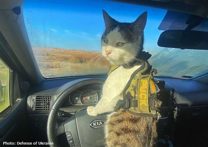 アウディーイウカとドネツク近郊で「ロシア軍の死傷者5千人、装甲車400台を破壊」…Ka-52攻撃ヘリやSu-25攻撃機などを投入し包囲狙う！