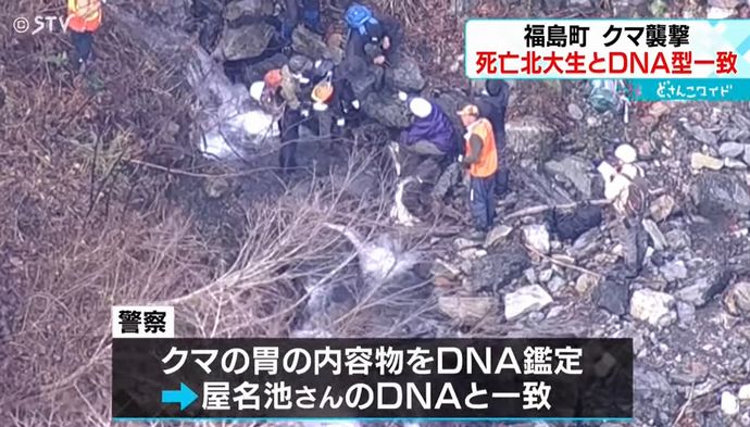 消防士の反撃で死んでいたヒグマの胃袋から大学生のDNAを発見…北海道大千軒岳！