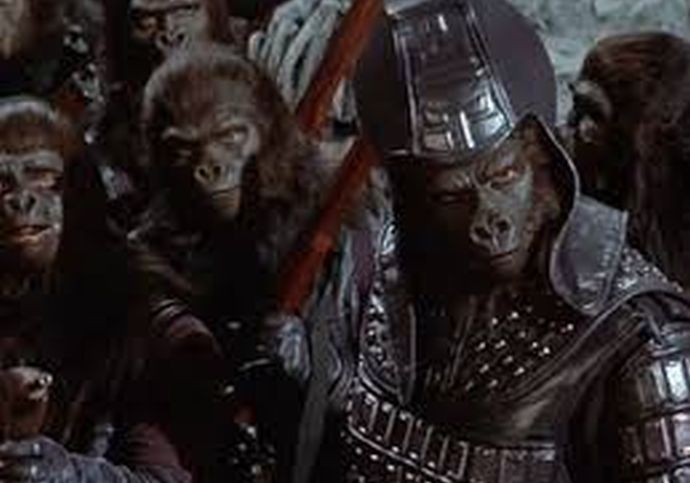 「ゴリラ1頭vs人間100人」勝つのはどっち？…専門家が導き出した結論とは！