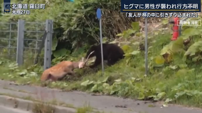 「友人がヒグマに襲われ林の中に引きずり込まれた」羅臼岳で行方不明に…ハンターらが捜索再開！