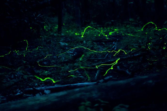 「幽霊がいる気配」の正体を解明？…原因は「人間には聞こえない音」の可能性！