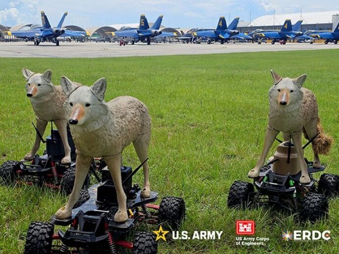 野生動物から空港を守るため、米陸軍が開発した「ロボットコヨーテ」！