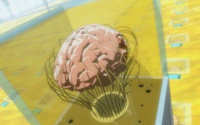 ヒトの「ミニ脳」が国際宇宙ステーションで作られる予定！