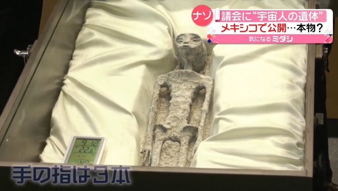 ミイラ化した「非人類の遺体」をメキシコ議会で公開…ナスカの地上絵付近で発見！