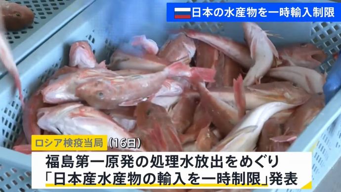 ロシア、中国による日本産海産物の輸入制限措置に参加を表明！