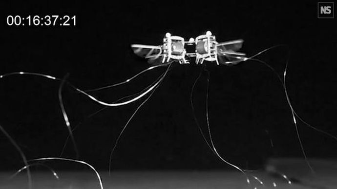 超軽量でありながら約1000秒間も飛行できる小型ドローンをMITが開発、人工授粉に役立つ可能性も！