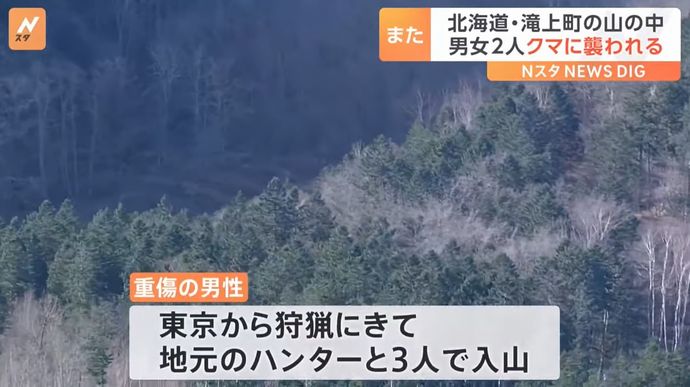 東京からクマ狩りにきたハンター、ヒグマに襲われ重傷…北海道