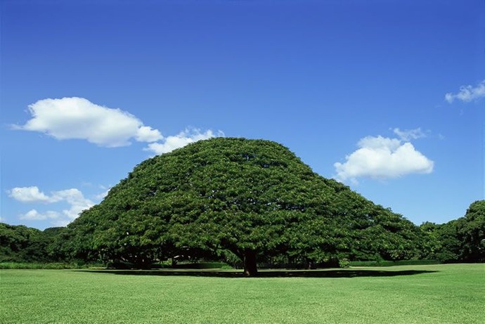 日立製作所、国内の白物家電事業売却を検討…韓国企業が買収意向か！