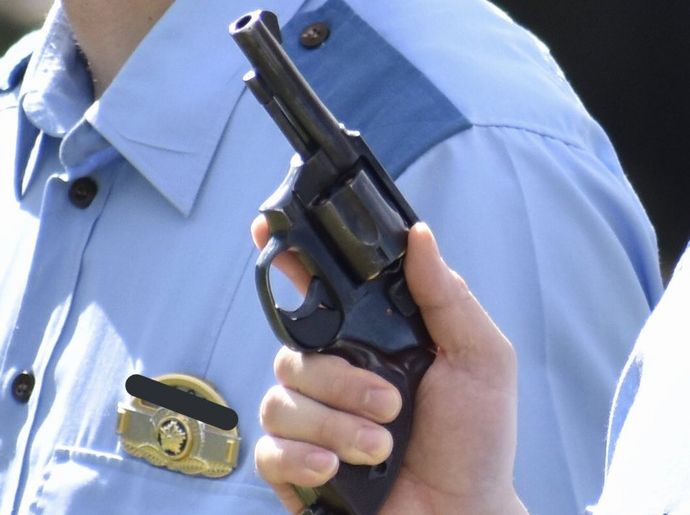 警察官の拳銃ではクマを駆除できない可能性…警視庁！