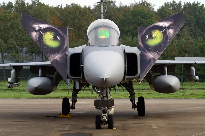 Saab_JAS-39_Gripen_(Czech_Air_Force)_(5116809729)