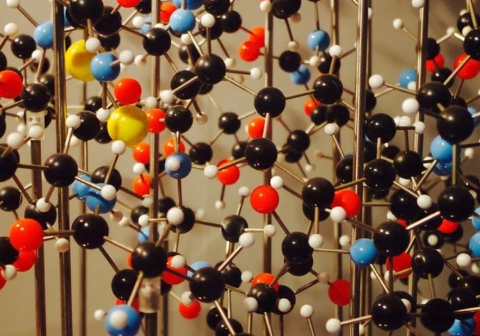 一流科学誌も大注目、人体から未知の存在「オベリスク」が発見される！