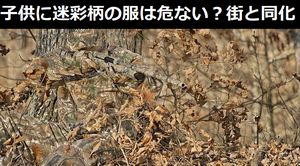 子供に迷彩柄の服は危ない、街の緑と同化して迷子に…証明写真が話題に!