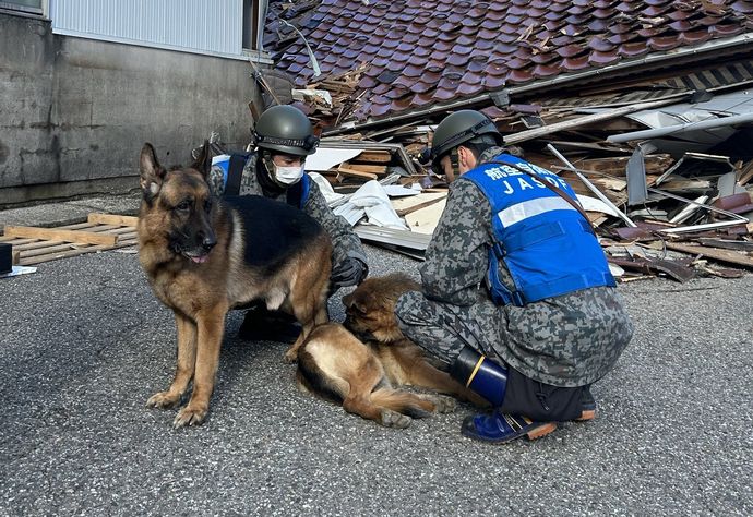 航空自衛隊の捜索犬ジェニファー、輪島で高齢女性を救出…木原防衛相発表！