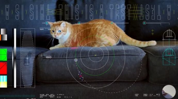 宇宙から届いた猫ビデオ、レーザー通信実験で地球へ送信…NASAS！