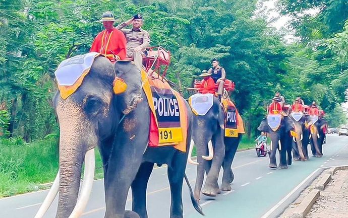 アユタヤ警察署による象のパトロール部隊「エレファントパトロール」披露！