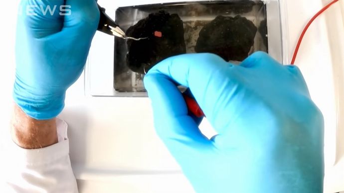 深海底で生成される「暗黒酸素」のメカニズム解明へ…日本財団が英研究機関と深海調査！