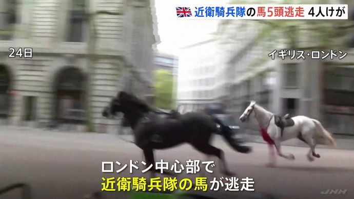 英王室を警護する騎兵隊の馬5頭が暴れ出して市街地を暴走、ベンツやバスに衝突…罰金バッキンガムよ！
