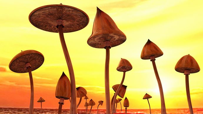 宇宙人からの巨大キノコ、大量虐殺の可能性！？